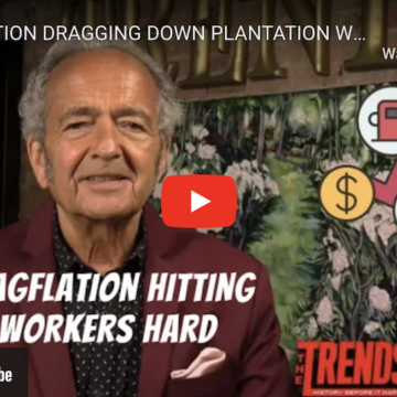 DRAGFLATION DRAGGING DOWN PLANTATION WORKERS OF SLAVELANDIA